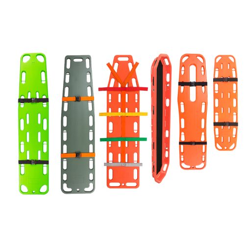 Planche dorsale-KL-MS017